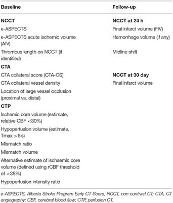 Efficacy of Cerebrolysin Treatment as an Add-On Therapy to Mechanical Thrombectomy in Patients With Acute Ischemic Stroke Due to Large Vessel Occlusion: Study Protocol for a Prospective, Open Label, Single-Center Study With 12 Months of Follow-Up